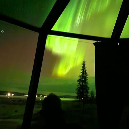 Aurora River Camp Glass Igloos & Cabins Kiruna Eksteriør bilde